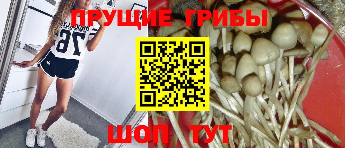 Чистополь  Галлюциногенные грибы MAGIC MUSHROOMS  Вход с VPN 